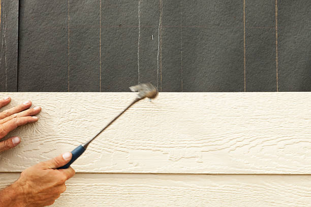 Best Custom Trim and Detailing for Siding  in Port Charlotte, FL